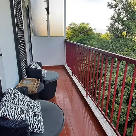 Apartment Tree House *